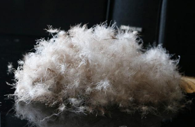 What are the advantages and disadvantages of gray duck down?  How to wash gray duck down clothes?