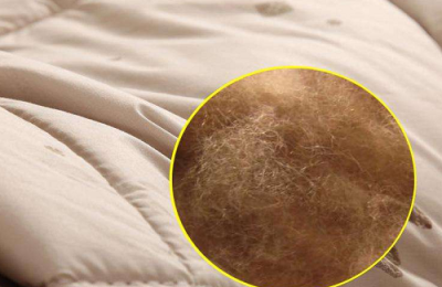 What are the advantages and disadvantages of camel hair quilts?  Can camel hair quilts be washed?